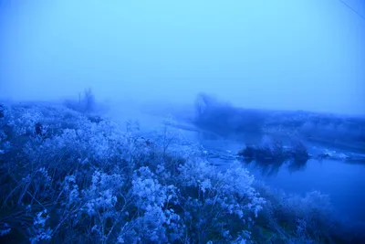 DSC_1065 (Large).JPG